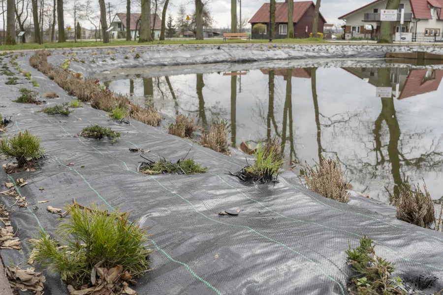 Miliony na zieleń w Łódzkiem. Rekultywacja, eko parki i inwestycje w przestrzeń